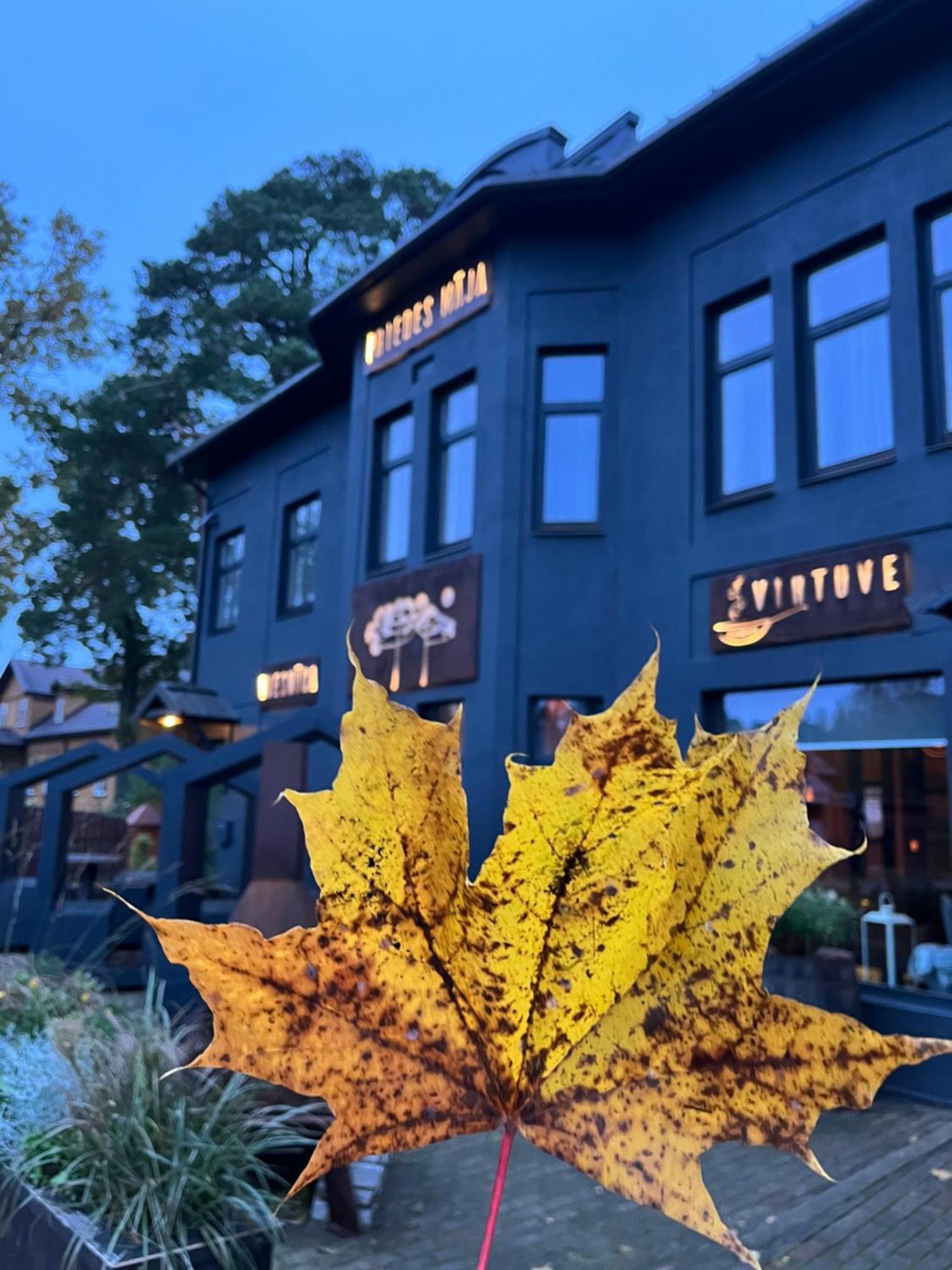 Ainaži Priedes Maja酒店 外观 照片